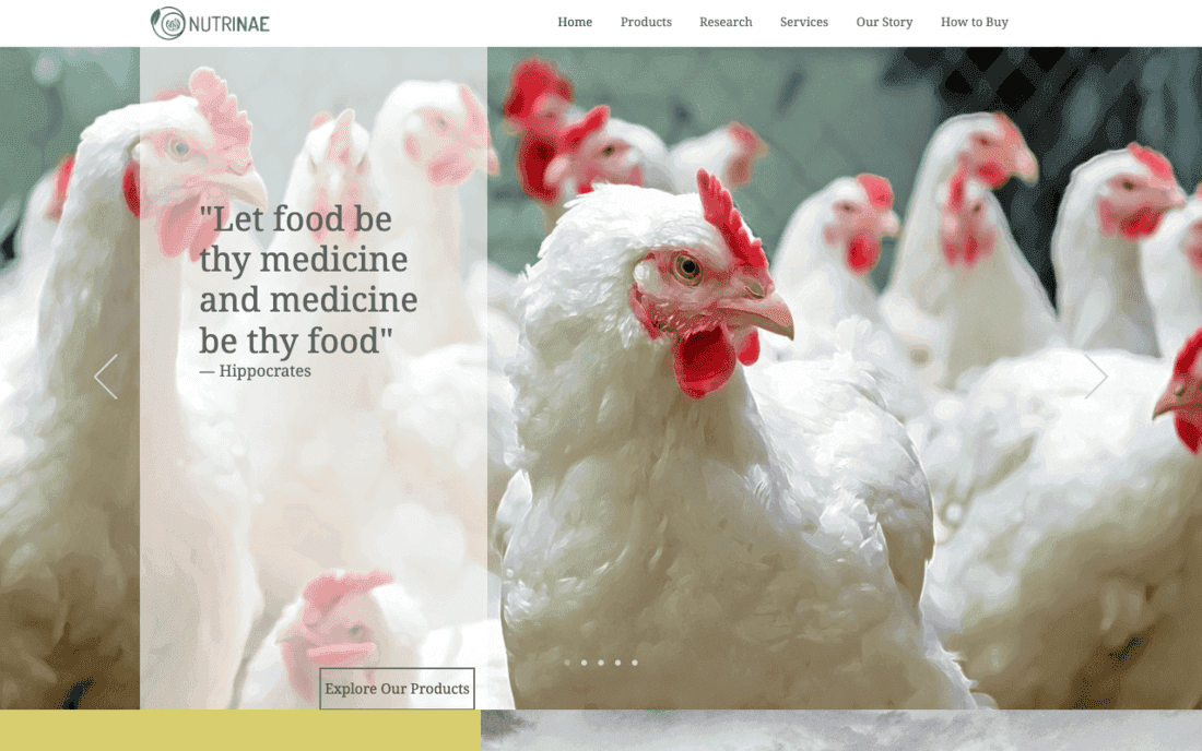 Nutrinae website before the redesign
