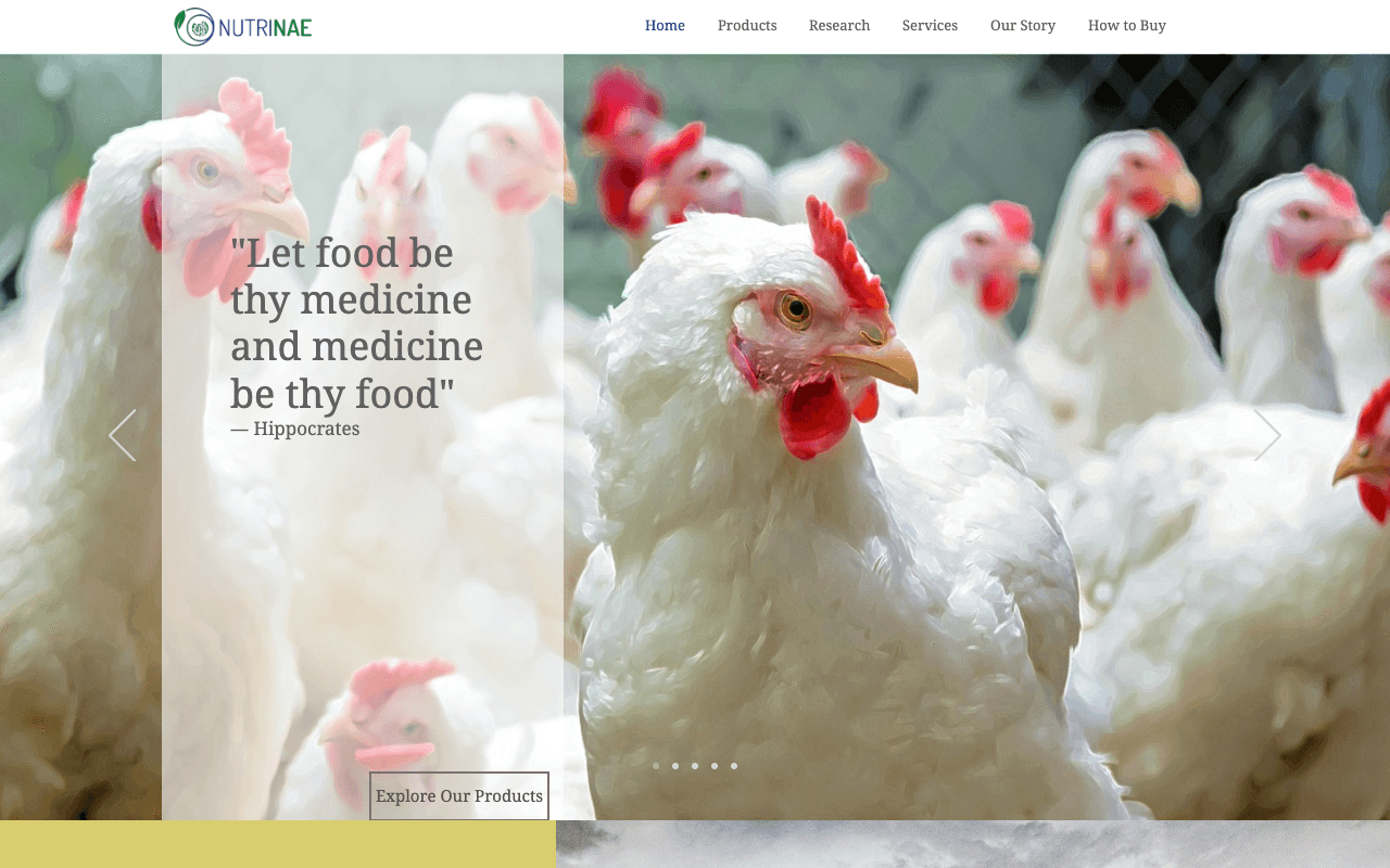 Nutrinae original website from 2003